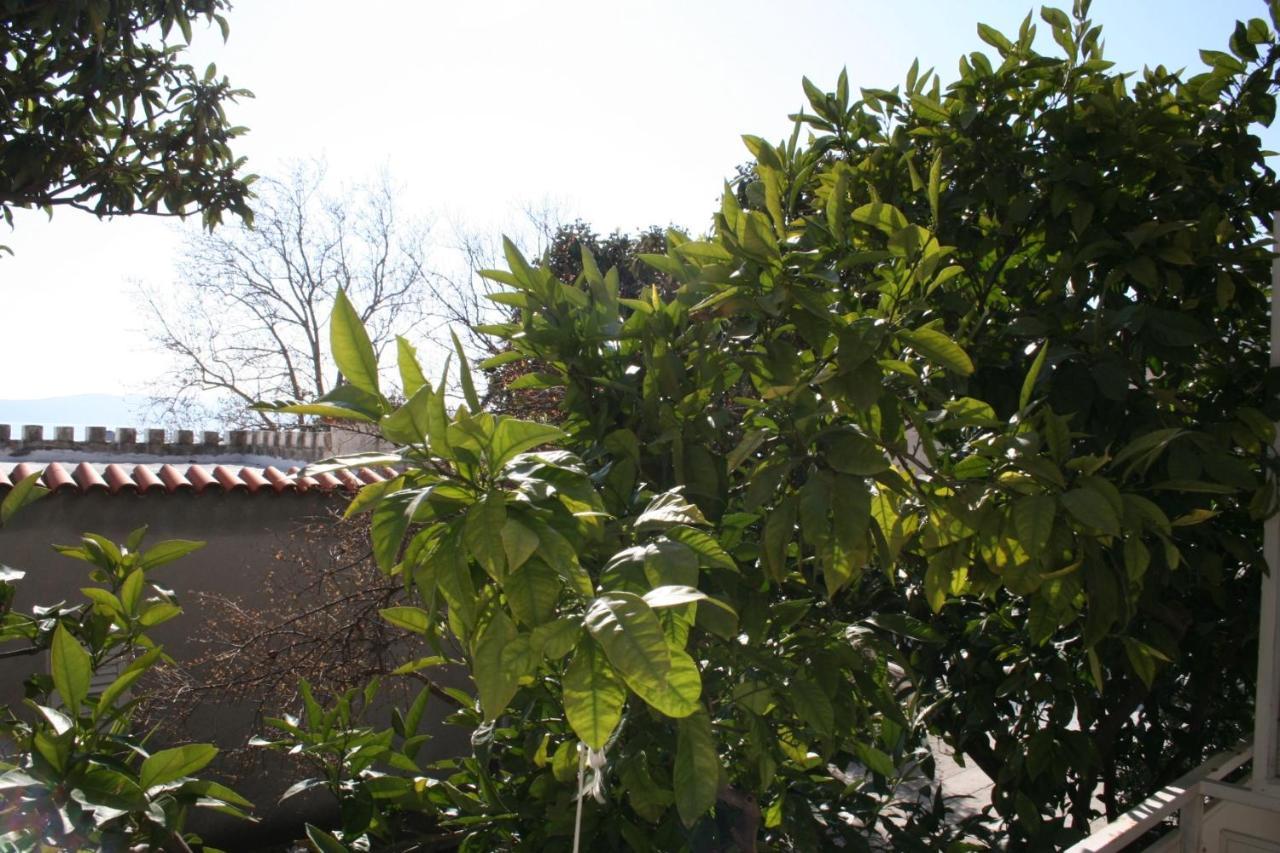 Apartments And Rooms By The Sea Baska Voda, Makarska - 2578 מראה חיצוני תמונה